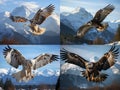 AI generated illustration of a collage of an eagle above a green landscape