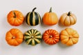 AI generated illustration of a collection of small, medium and large pumpkins on a white background Royalty Free Stock Photo