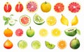 AI generated illustration of a colorful assortment of fruit on a white background