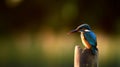 AI generated illustration of a common kingfisher perched on a wooden pole Royalty Free Stock Photo