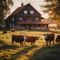 AI generated illustration of cows grazing in a lush green field in front of a rural building Royalty Free Stock Photo