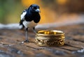 AI generated illustration of a crow perched on a wooden table near a golden ring