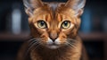 AI generated illustration of a curious-looking Abyssinian cat staring into the lens