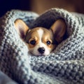 AI generated illustration of a cute Corgi wrapped in a cozy, gray blanket