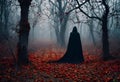 a dark cloak is seen in a forest filled with leaves