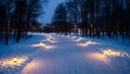Lantern lit snow trail through winter forest Royalty Free Stock Photo