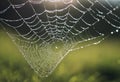 AI generated illustration of a dew-covered spider web on grass