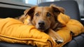 AI generated illustration of a dog restingyellow comfortably on a plush pillow in its cozy bed