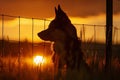 AI generated illustration of a dog watching sunset by fence Royalty Free Stock Photo