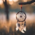 AI generated illustration of a dreamcatcher hanging on a tree branch Royalty Free Stock Photo