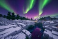 a night scene of aurora borers and auroras in a polar park