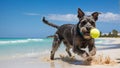 AI generated illustration of an energetic Schnauzer dog chasing a tennis ball on a sunny beach Royalty Free Stock Photo