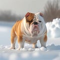 AI generated illustration of an English bulldog in snow Royalty Free Stock Photo