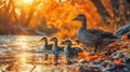 AI generated illustration of a family of geese swimming in a tranquil river at sunset Royalty Free Stock Photo