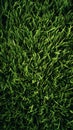 Vibrant Green Grass Texture Background AI Generated Nature Illustration ai generated Royalty Free Stock Photo