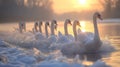 AI generated illustration of a flock of swans gracefully gliding on a serene lake at sunset