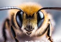 AI generated illustration of a a fluffy bee looking into the lense