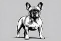 AI generated illustration of a French Bulldog in grayscale