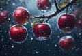 AI generated illustration of fresh apples hanging on a branch with snow droplets