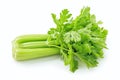 AI generated illustration of fresh celery bundle with vibrant green leaves on a white background