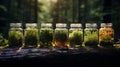 AI generated illustration fresh picked herbs in jars