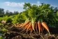AI generated illustration of freshly-grown carrots in a lush green field under the blue sky