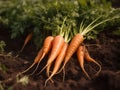 AI generated illustration of freshly-grown organic carrots nestled in the soil