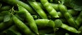 AI-generated illustration of a freshly harvested crop of pea pods with glistening water drops Royalty Free Stock Photo