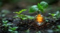 AI generated illustration of a glowing orange light bulb illuminating plants in soil