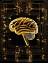 AI generated illustration of a golden human brain with electrical connections