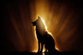 The silhouette of a wolf with a golden backlight