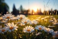 AI generated illustration of a golden sunset illuminating a wildflower-speckled meadow