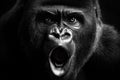AI-generated illustration of a gorilla with intense expression and detailed fur texture in grayscale Royalty Free Stock Photo