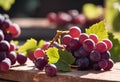 AI generated illustration of grapes glistening on a vine in the morning sun at a vineyard