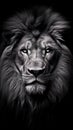 AI generated illustration of A grayscale of a fierce-looking lion posed against a black background