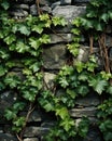 AI-generated illustration of green foliage of leafy vines growing over a stone wall Royalty Free Stock Photo