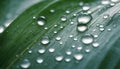 AI generated illustration of a green leaf with dewy water droplets on its surface Royalty Free Stock Photo