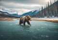 AI generated illustration of a grizzly bear hunting fish in a river Royalty Free Stock Photo