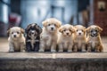 AI generated illustration of a group of adorable puppies standing side by side