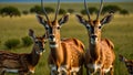 AI generated illustration of a group of antelopes grazing amongst the tall grass in a meadow