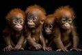 AI generated illustration of a group of baby monkeys on a black background Royalty Free Stock Photo