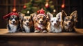 AI generated illustration of a group of chihuahua on Christmas