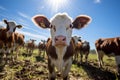 AI generated illustration of a group of cows grazing peacefully in a field Royalty Free Stock Photo