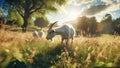 Goat in the field, AI generated illustration, realistic