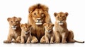 AI generated illustration of a group of lions sitting side by side on a white background