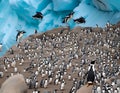 AI generated illustration of a group of penguins perched on rocky cliff
