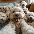 AI generated illustration of a group of poodles on a bed Royalty Free Stock Photo