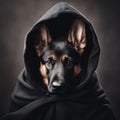 a black german shepherd dog with a hoodedie on his head