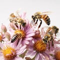 AI generated illustration of a hive of bees pollinating flowers