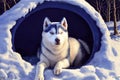 AI generated illustration of a husky dog lying on a snowy field